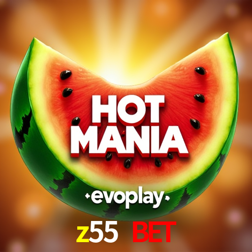 Experimente o Login Seguro Premium no z55 bet